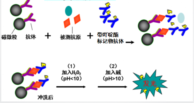 原理圖rr.png